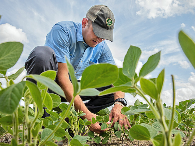 Caleb Wilson wrapped up planting on June 29 with more acres of soybeans than the farm had ever grown before. Less than 10% of the Lakeview, Ohio, farm went unplanted this year. (DTN/Progressive Farmer photo by Jodi Miller)